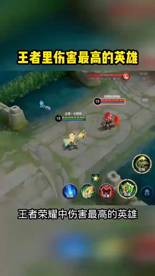 王者荣耀什么英雄伤害高截图