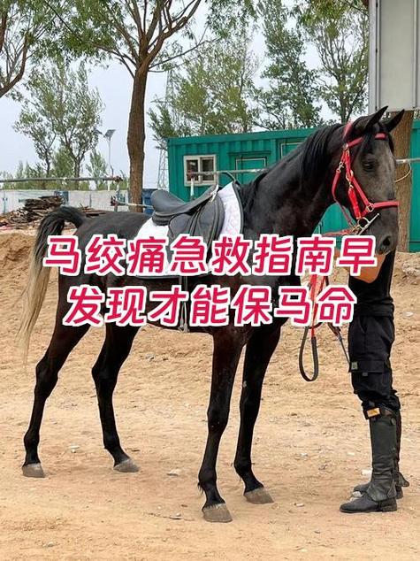 骑马对女性的害处