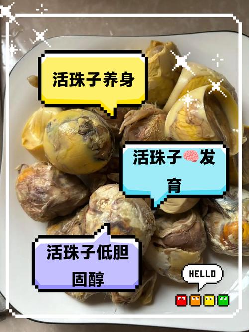 吃活珠子后不能吃什么图标