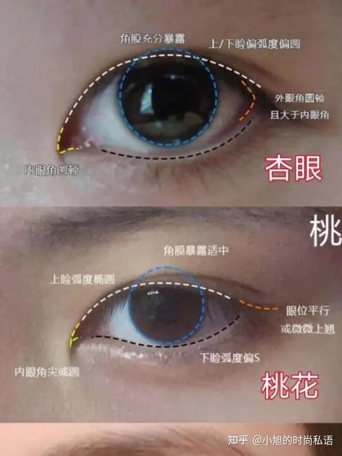 杏眼与桃花眼的区别图标