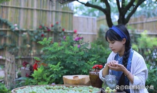 哪里可以看李子柒直播
