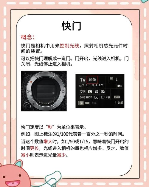 手机拍照专业模式快门是哪个