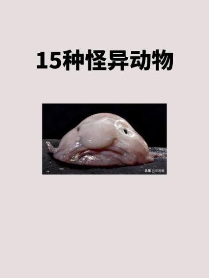 strange odd weird区别