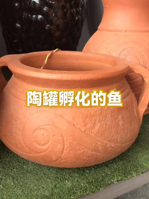 罐罐鱼能活多久图标