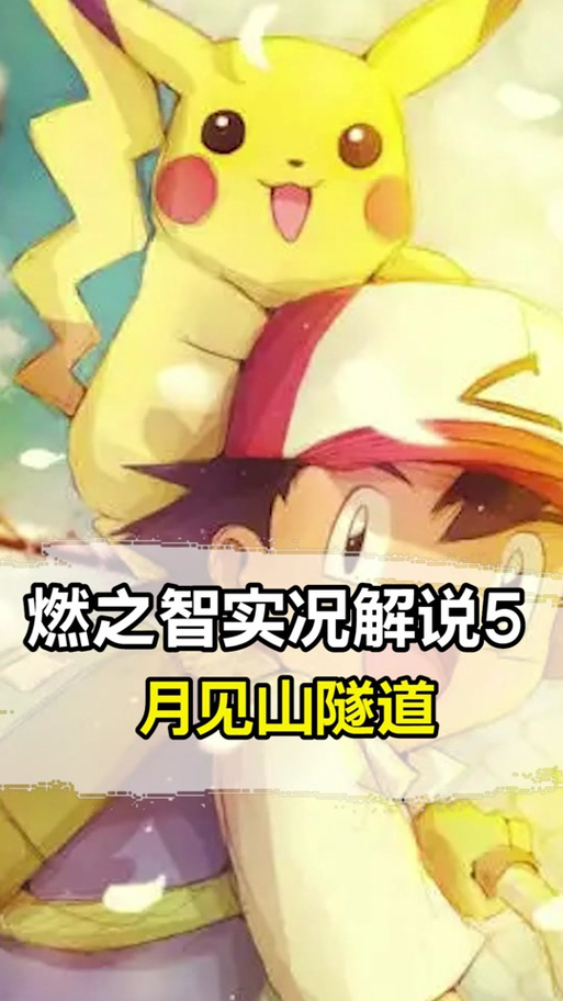 燃之智