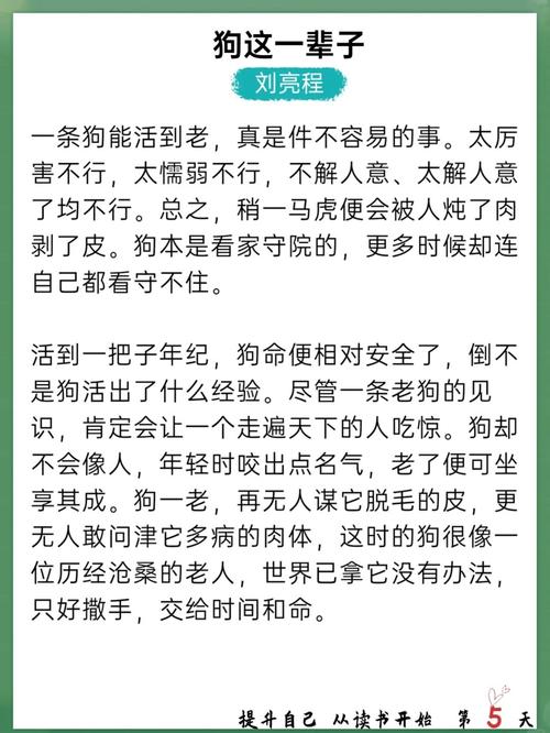 小说一人一狗走出大荒 新笔下文学