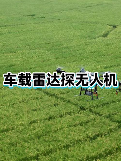 盲区监测符号是什么图标
