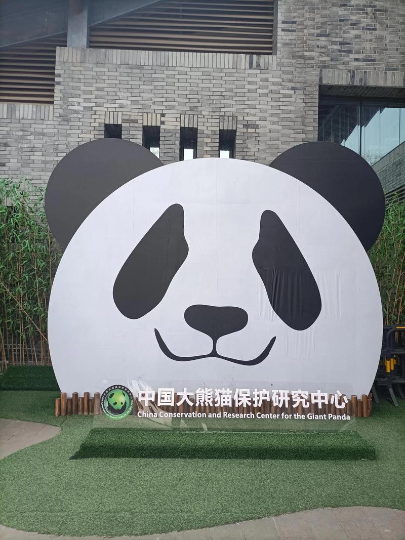大熊猫的资料三年级