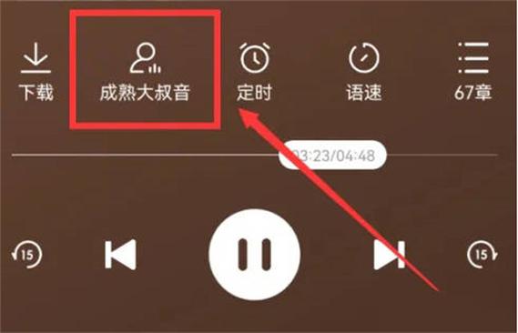 微信语音时番茄还播放截图