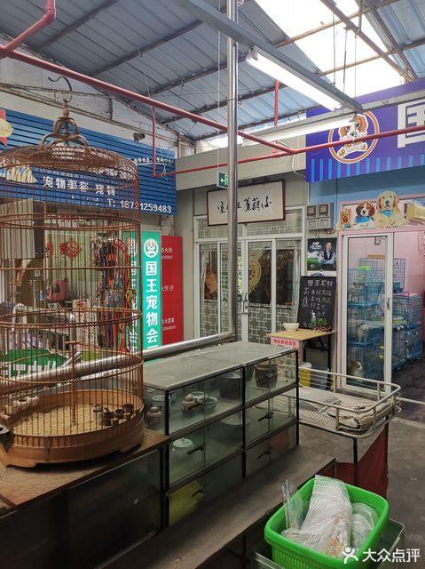 浦东十大花鸟市场