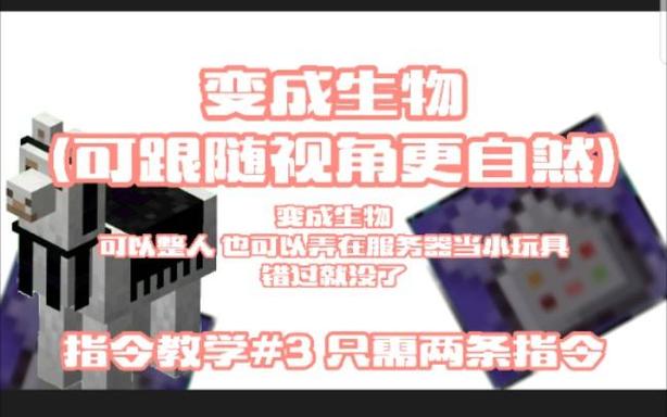 我的世界生物跟随指令