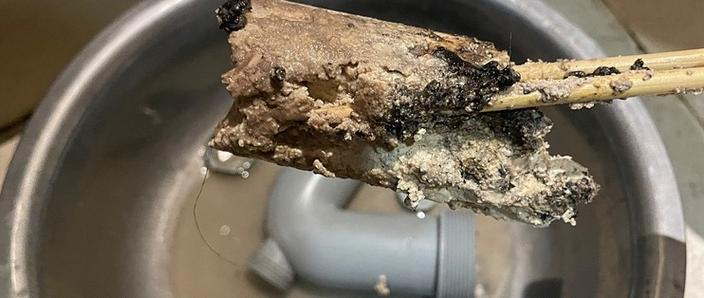 下水道堵塞像石膏白色