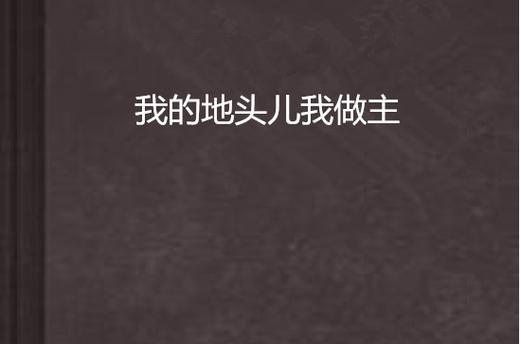 我的地我做主 催眠类