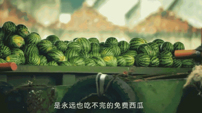 是西瓜啊作者