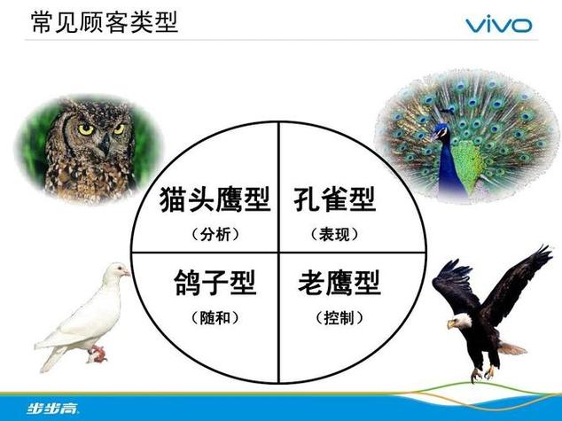 四种人格孔雀猫头鹰
