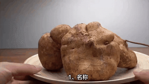 地瓜视频苹果版常见问题截图