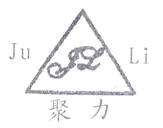 聚力什么意思