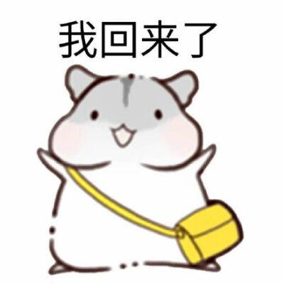 回来了搞笑表情包截图