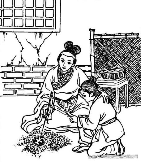 《堕母改苏错》朱得志图标