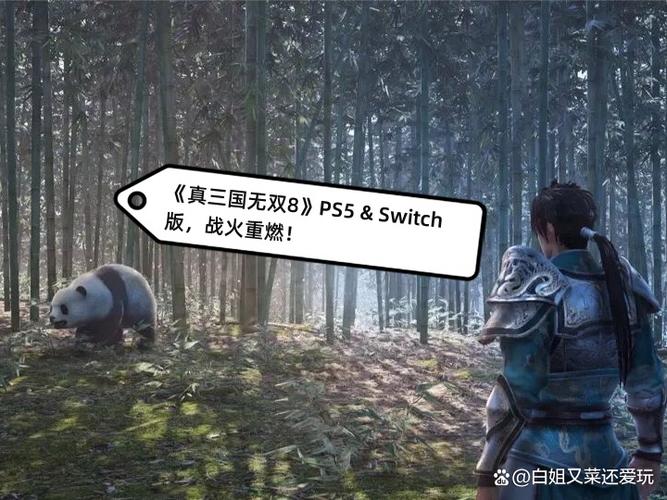switch可以玩三国无双吗