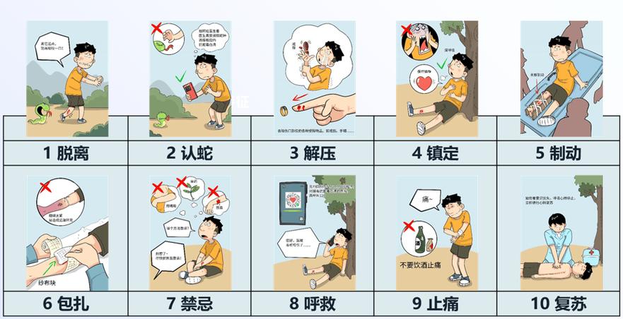 简单的急救措施