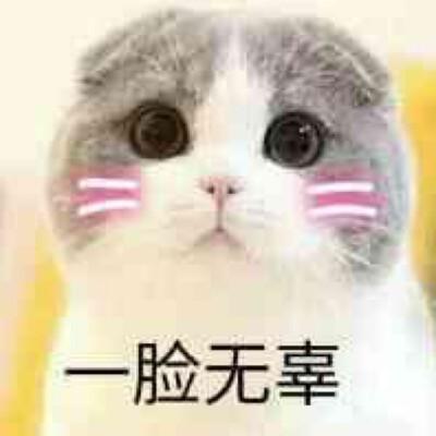 一脸无辜的表情包