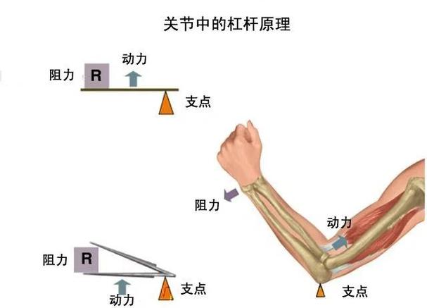 扭力对照表缩略图
