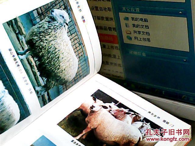 养羊全书