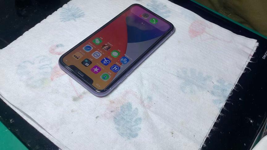 苹果11主卡无服务截图
