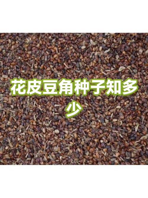 一方灵田花种子最简单三个步骤