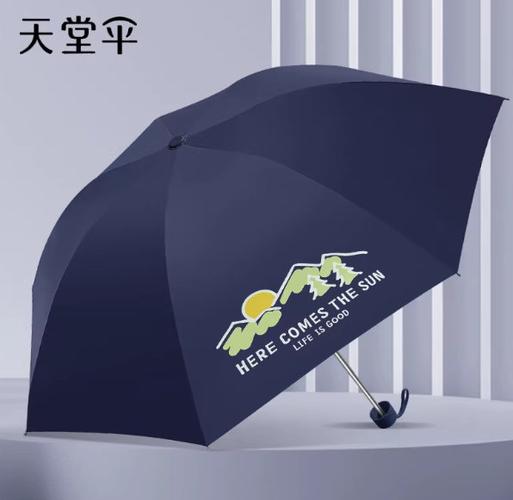 天堂牌雨伞多少钱一把