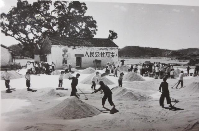 农轻重为序是什么意思截图