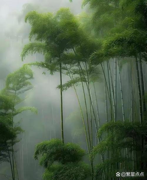 静若悠然的意思