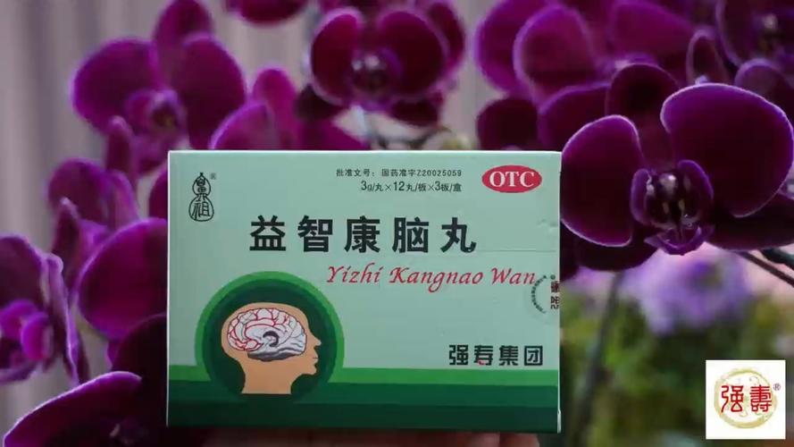 益智康脑丸的说明书图标