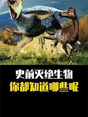 我的世界怎么把除了玩家以外所有生