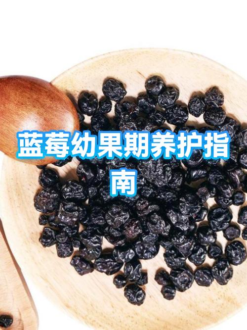 婴儿最宜吃三种水果