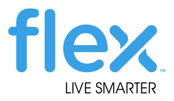 美国flex公司
