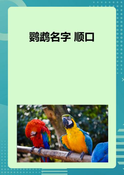 鹦鹉取名100个