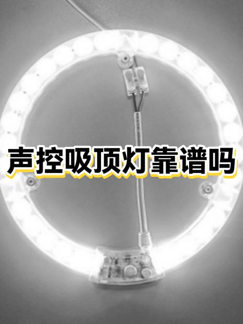 苹果手机定位播放声音怎么关游戏截图
