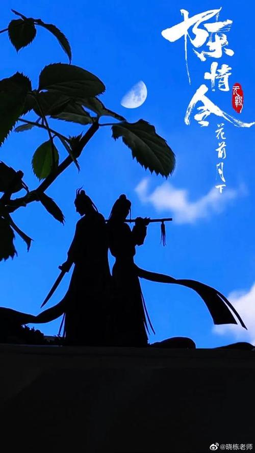 天涯一曲共悠扬