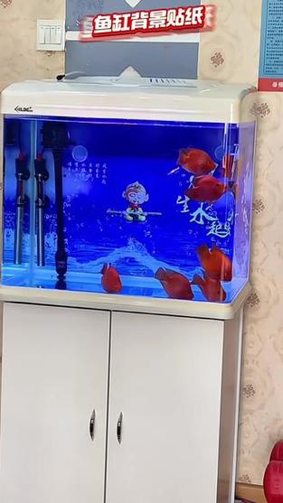 鱼缸贴三面背景纸好吗