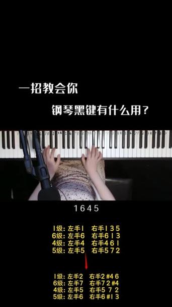 琴键上黑色的键是什么