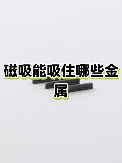 家里常见磁铁物件清单