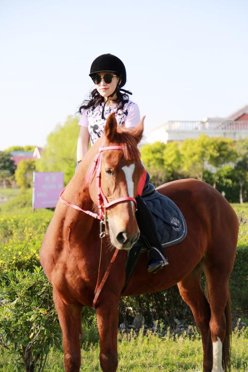 绿帽家丁徐芷晴和马最后和谁在一起截图
