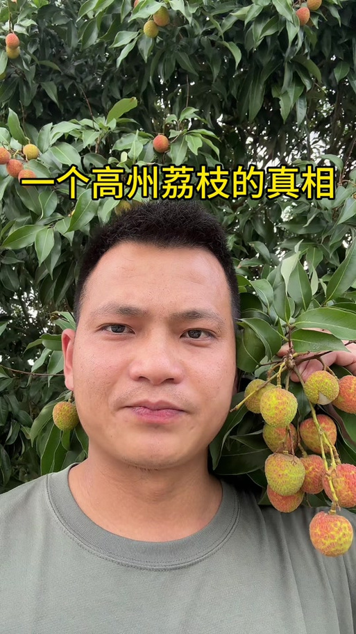 荔枝树几年可以挂果