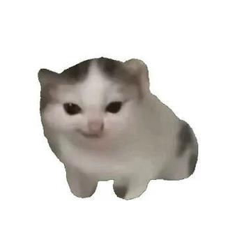 猫meme唱《苟活》吓坏日本人