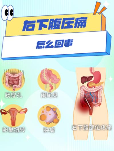 右腹部下方疼是什么原因截图