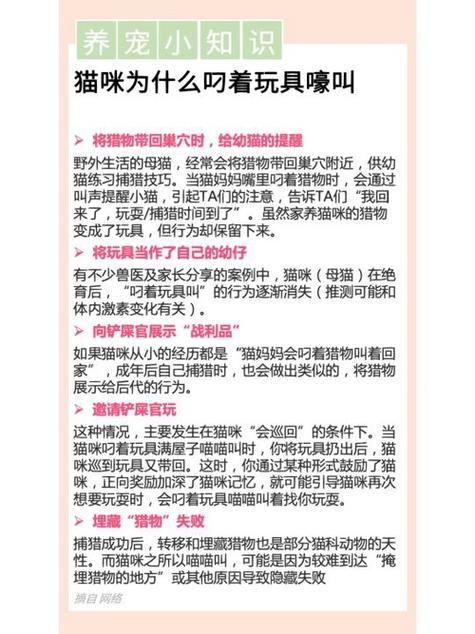 猫老叫唤还到处蹭怎么办