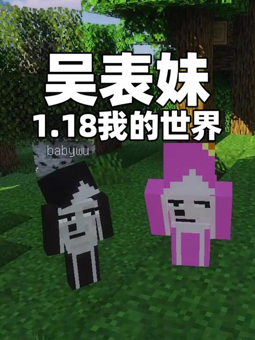 我的世界表妹单人生存