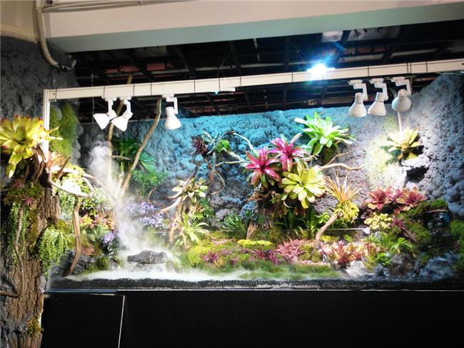 上海水族展览会缩略图
